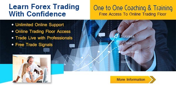 One To One Forex Trading Coaching Training Including Online - 
